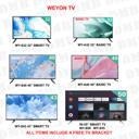 WEYON_TV.jpg
